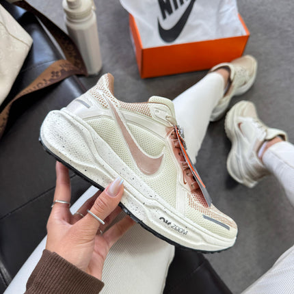 Nk Air Zoom Pegasus 41 Off/Chocolate
